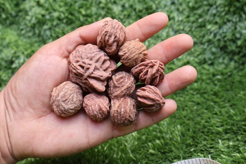 Pcs desert rose - rose, raw