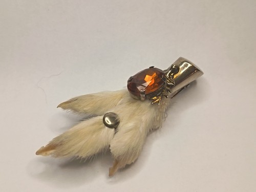 Vintage scottish grouse foot - grouse,
