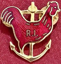 Rhode Island Red Rooster