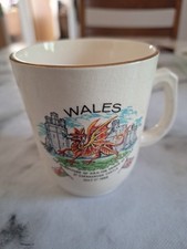 Prince Charles Investiture Mug