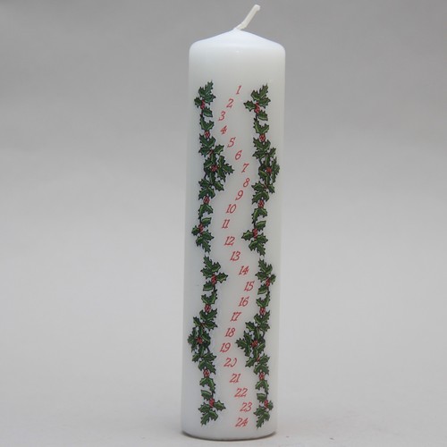 White hollybush christmas - white,