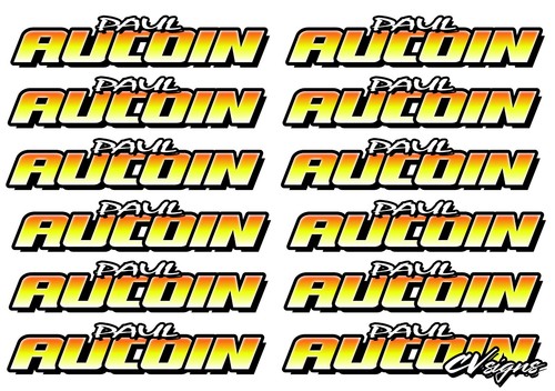 12th scale drivers name - 1/12th,