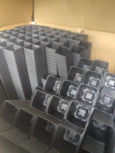 X1240 11cm plant pots - x1240,