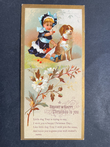Victorian greeting card - victorian,