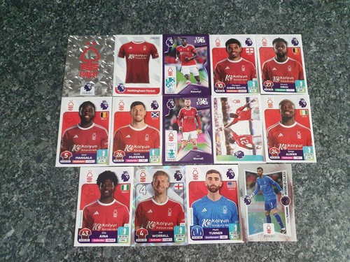 Panini premier league stickers - panini,