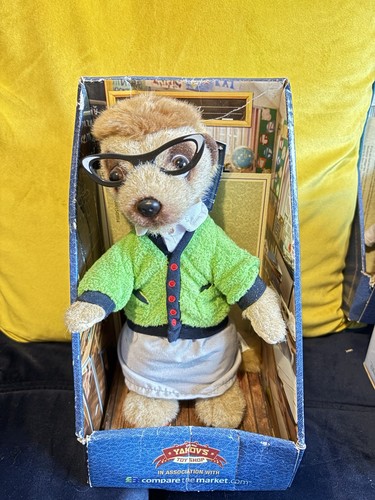 Maiya meerkat compare the - meerkat,