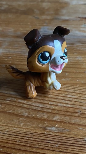 Littlest pet shop collie - shop, #237