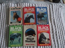 The Black Stallion Knight