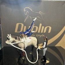 Retired Schielch Trained Horse