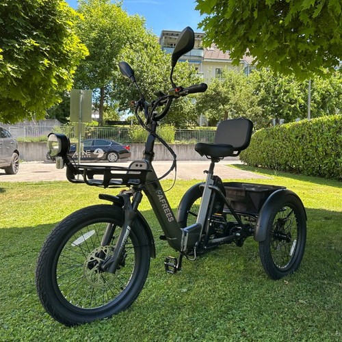 Fafrees 20in electric - electric, cargo