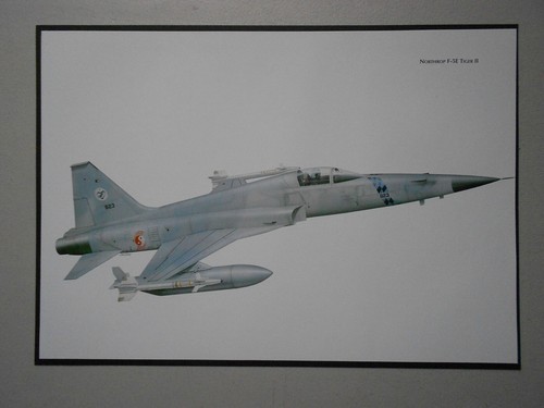 Military aviation print - military,