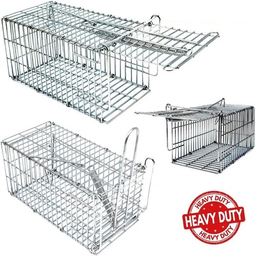 Heavy duty rat - heavy,