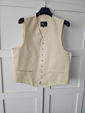 Piscardor Men's Gold Waistcoat