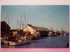 Eureka CA Tom Lazio Fish Co