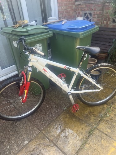 Saracen ray mountain bike - x-ray,