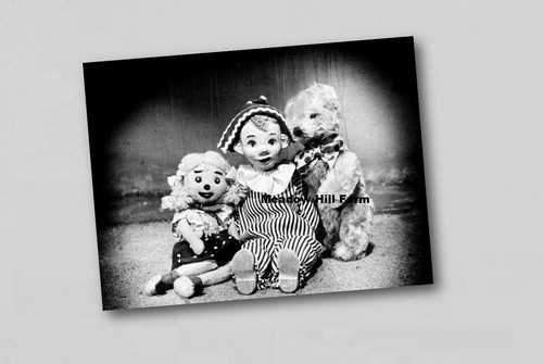 Fridge magnet andy pandy - fridge, retro