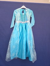 Disney Fancy Dress Outfit