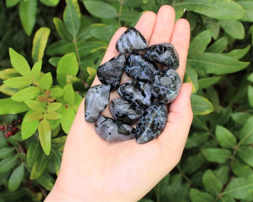 Indigo gabbro tumbled stones - indigo,