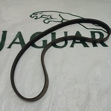 Jaguar Alternator drive belt