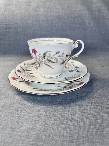 Royal standard fancy free - royal,