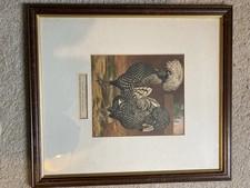 Chicken Print in Frame - Polish Breed 1871/72