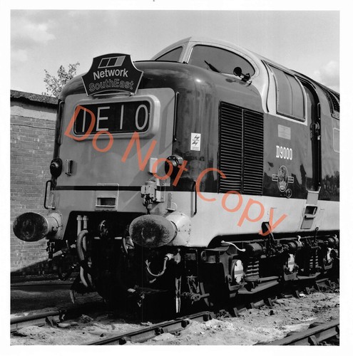 Old oak common - old,
