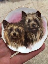 Vintage miniature English bone china plate with two Silky Terrier dogs 