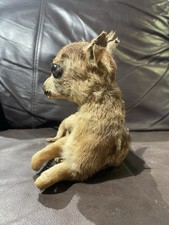 Adorable Vintage Roe Deer Fawn