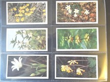 1986 Grandee BRITAIN'S WILD