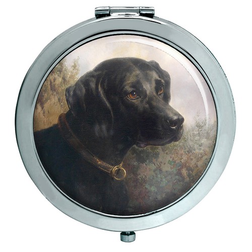 Hector black labrador - labrador, by