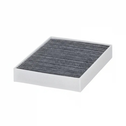 Cabin filter pollen - pollen,