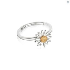 Daisy London English Daisy Ring in Sterling Silver - SR512_SLV