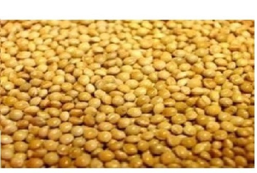 Versele laga white - versele, seed