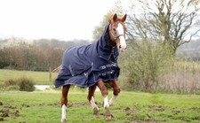 Rhinegold Arizona Combo Full