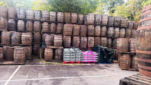 Oak whiskey barrels - oak,