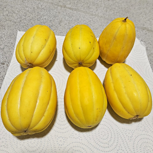 Korean small yellow - yellow, melon