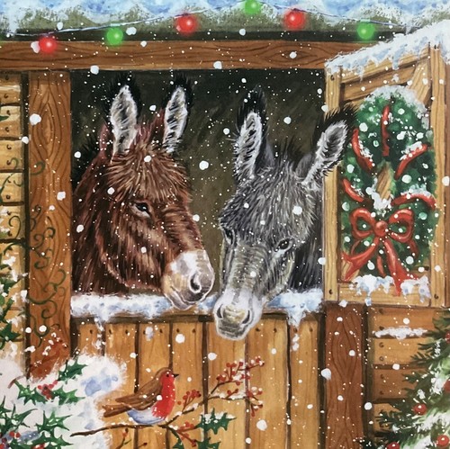 Pack charity christmas - pack,