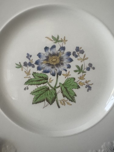 Wedgwood corinthian hampton - corinthian, “hampton