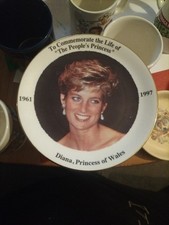 Princess Diana Commemorate The Life Of The Peoples Princess Plate