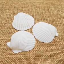 10PC White Color Natural