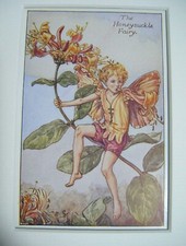 Vintage flower fairies print - flower,