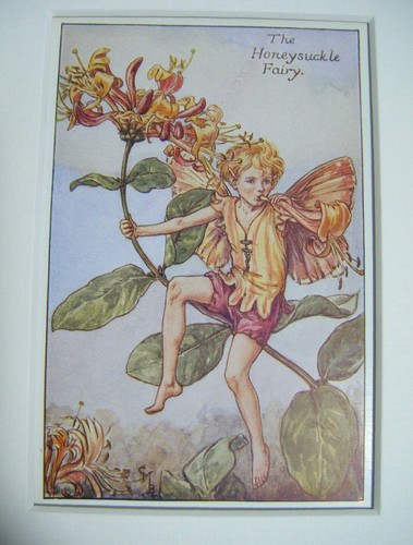 Vintage flower fairies print - vintage,