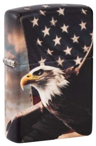 Eagle usa flag - usa, design