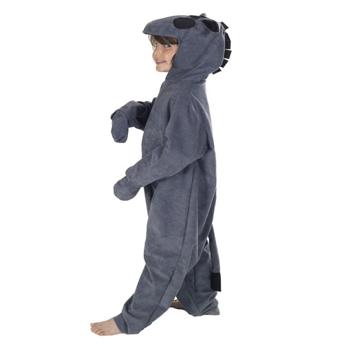 Charlie crow yrs donkey - charlie,