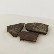 Hadrosaur Egg Shell Fossils