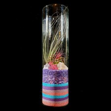 Valentine day themed tall - valentine's,