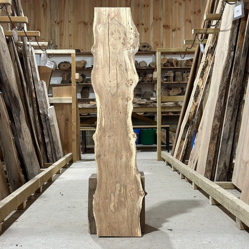 Pippy oak board - board, plank