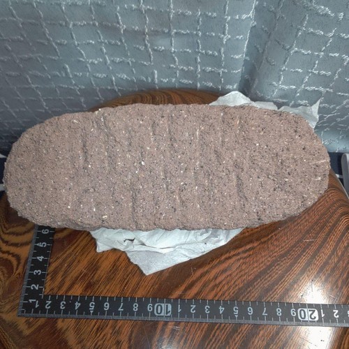 Antique vintage fossil egg - fossil,