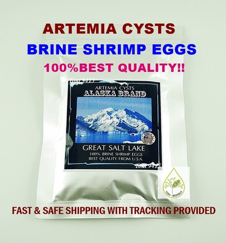 Artemia cysts alaska usa - cysts, 90%