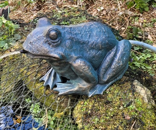 Pond water fountain spitter - pond,